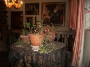 Ghost Hunter Diaries A Haunted House in North Wales featured at SpookyMrsGreen.com mindful parenting and modern pagan lifestyle blog.