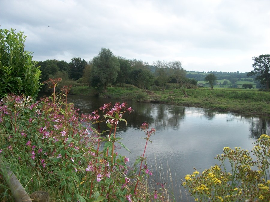 nature photo Riverside Herefordshire with vampire writer Catherine Green at SpookyMrsGreen.com mindful parenting and modern pagan lifestyle blog.