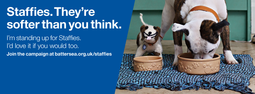 Staffies. They're Softer Than You Think Campaign at Battersea Dog's Home supported by SpookyMrsGreen.com mindful parenting and modern pagan lifestyle blog.