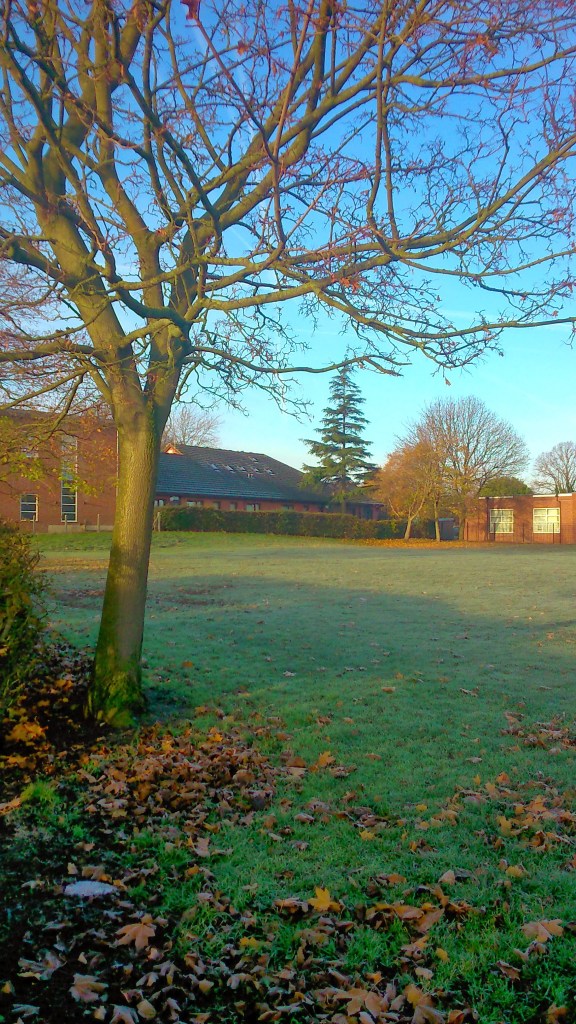 #WitchyWednesday Frosty Autumn Trees in Middlewich at SpookyMrsGreen.com mindful parenting and modern pagan lifestyle blog.