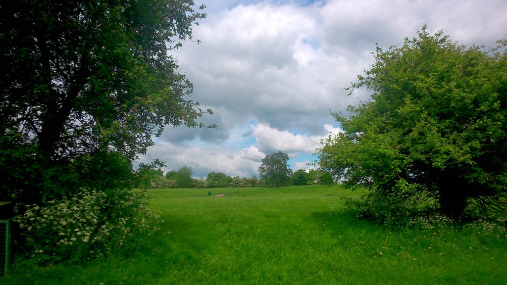 #WitchyWednesday Cloudy Sky and a Meadow with a Copse of Trees copyright Catherine Green of SpookyMrsGreen.com mindful parenting and modern pagan lifestyle blog.