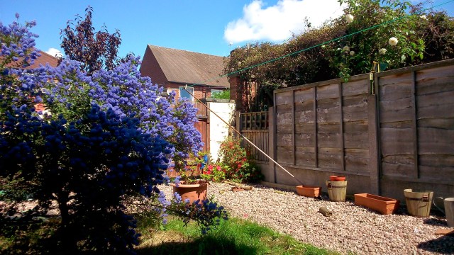 My small, beautiful back garden copyright Catherine Green of SpookyMrsGreen.com mindful parenting and modern pagan lifestyle blog.