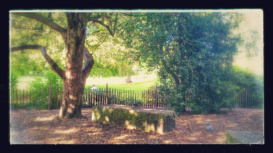 #WitchyWednesday Fairytale Woodland in York City Centre copyright Catherine Green of SpookyMrsGreen.com mindful parenting and modern pagan lifestyle blog.