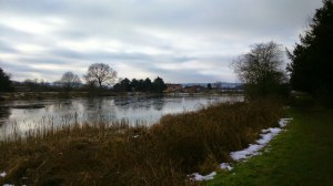 Bleak Landscape Frozen Lake in Winter Rudyard Lake Winter Walk copyright Catherine Green of SpookyMrsGreen.com mindful parenting and modern pagan lifestyle blog.