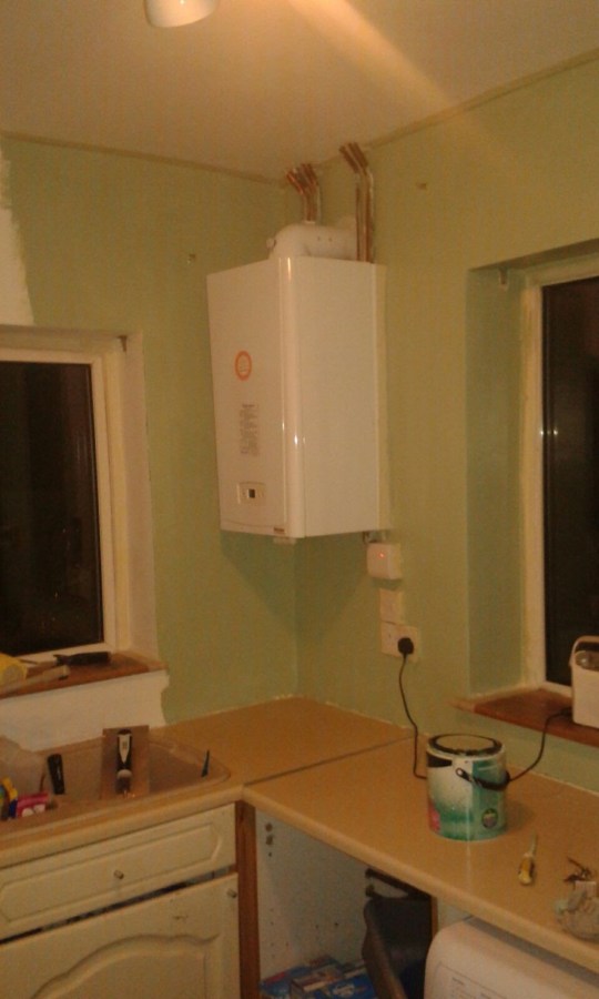 Crown Paint Bamboo Leaf Green Kitchen & Bathroom. My Home Renovation Kitchen Update green paint on the walls by Catherine Green of SpookyMrsGreen.com mindful parenting and modern pagan lifestyle blog.