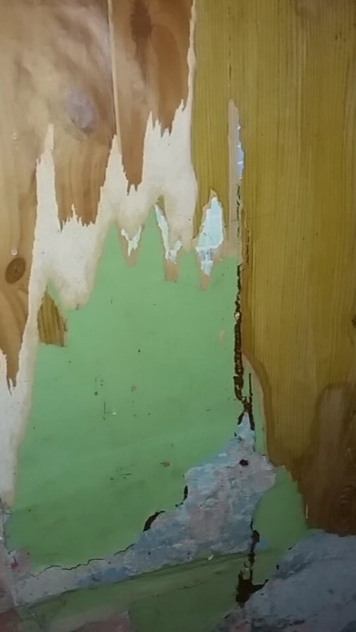 My Home Renovation: History in Wallpaper at SpookyMrsGreen.com mindful parenting and modern pagan lifestyle blog.