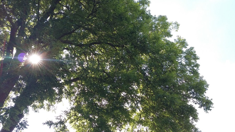 My Summer Holidays with Kids at SpookyMrsGreen.com mindful parenting and modern pagan lifestyle blog.