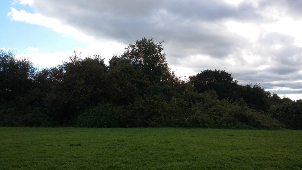 #WitchyWednesday Fairy magic in the trees at SpookyMrsGreen.com mindful parenting and modern pagan lifestyle blog.