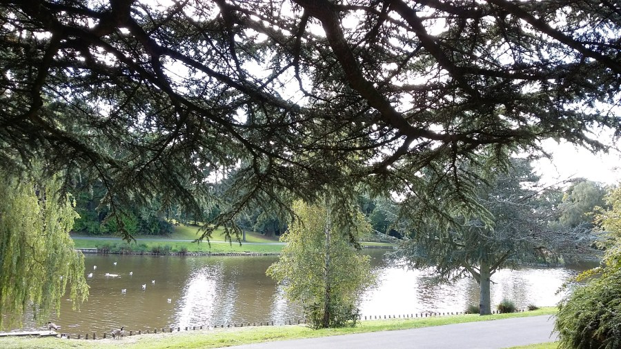 Fairy Tree by the Lake at SpookyMrsGreen.com mindful parenting and modern pagan lifestyle blog.