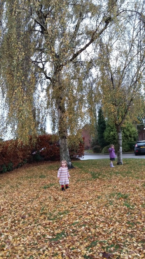 #MummyMonday Jumping in Autumn Leaves on the school run by SpookyMrsGreen.com mindful parenting and modern pagan lifestyle blog.
