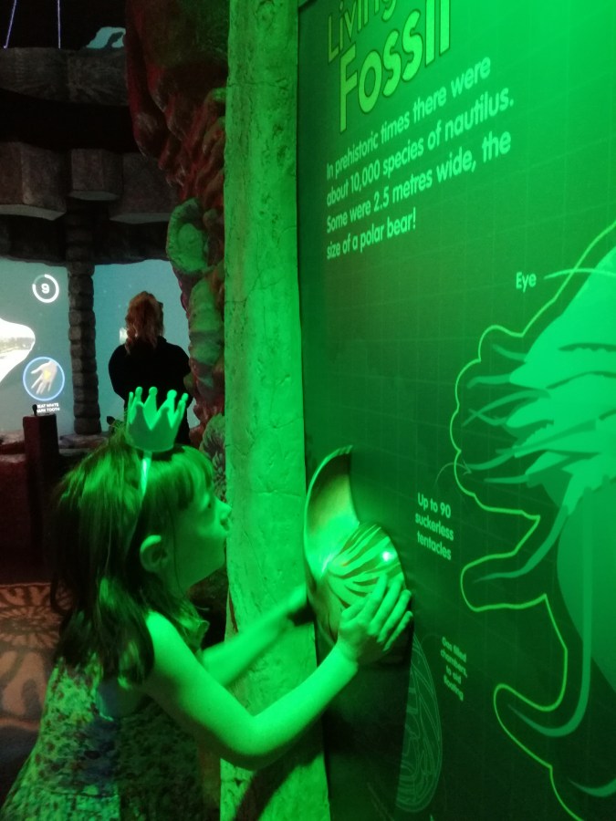 #MummyMonday Fossil game at SEA LIFE Manchester reviewed by SpookyMrsGreen.com mindful parenting and modern pagan lifestyle blog.