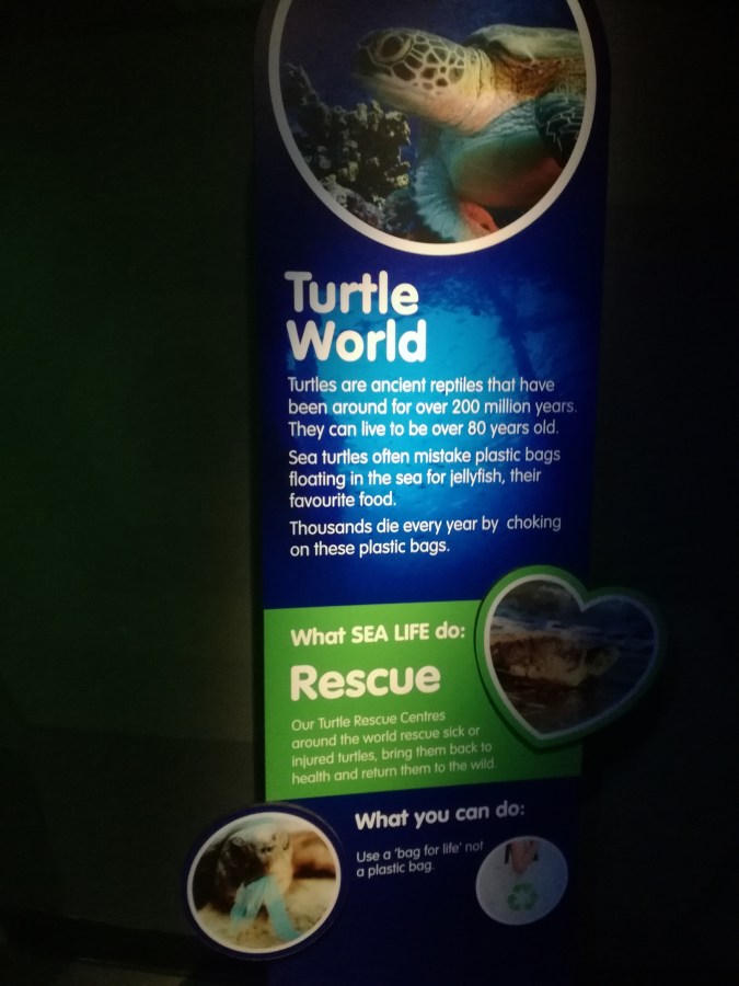 Turtle World SEA LIFE Manchester. #MummyMonday Family Trip to SEA LIFE Manchester reviewed by SpookyMrsGreen.com mindful parenting and modern pagan lifestyle blog.