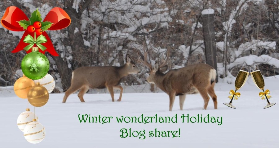 Winter Wonderland Holiday Blog Share at SpookyMrsGreen.com mindful parenting and modern pagan lifestyle blog.