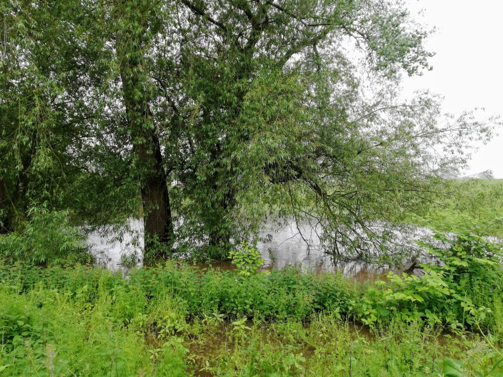 #WitchyWednesday Flooded river Weaver in Middlewich, Cheshire, UK by SpookyMrsGreen.com mindful parenting and modern pagan lifestyle blog.