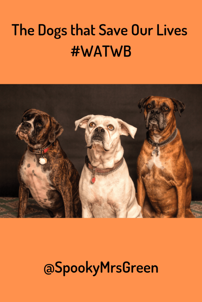 The Dogs that Save Our Lives #WATWB with SpookyMrsGreen.com mindful parenting and modern pagan lifestyle blog.