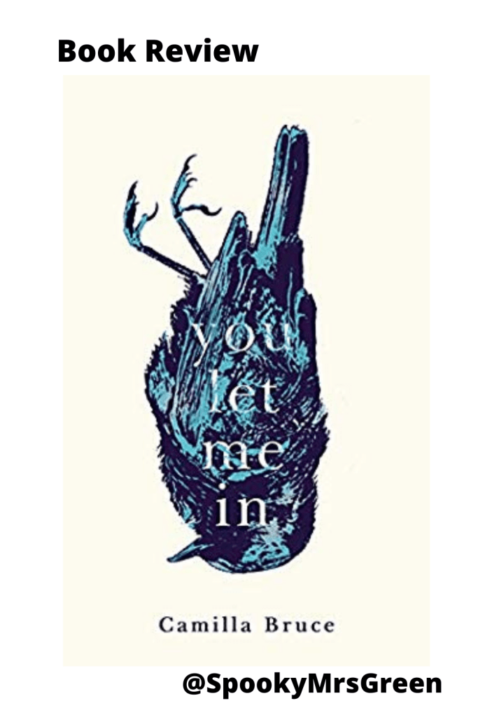 Book Review for You Let Me In by SpookyMrsGreen.com pagan lifestyle blog.