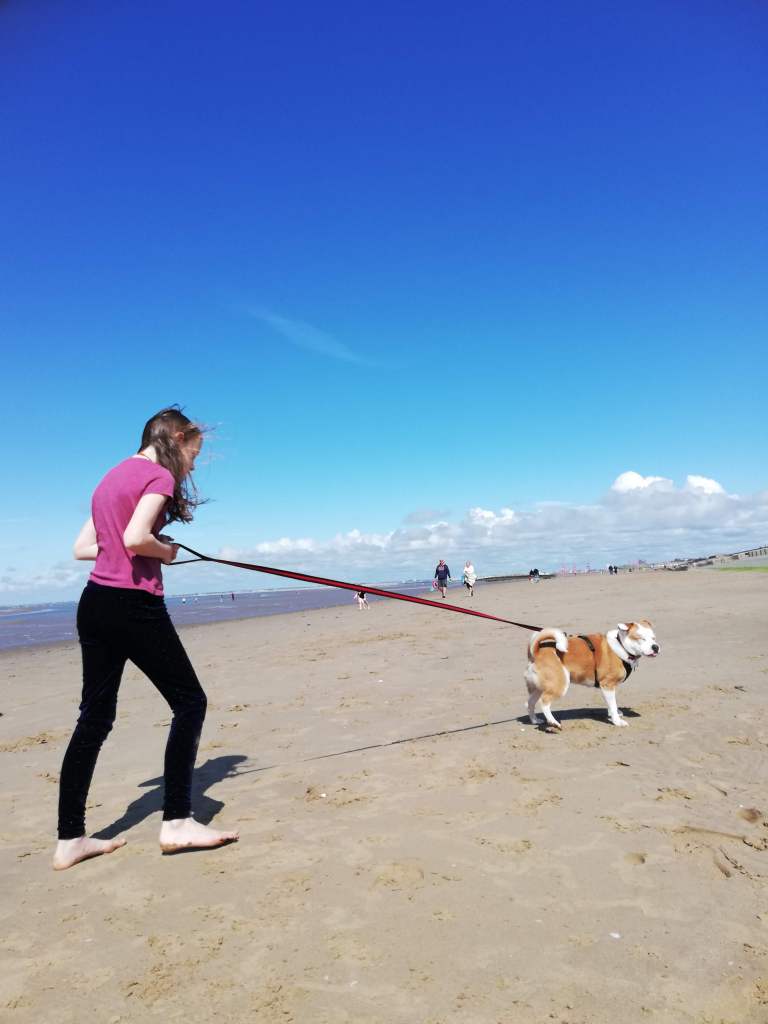 #MummyMonday Leasowe Beach Dog-Friendly UK. Image of Leasowe Beach on the Wirral, Northern England, for Dog Friendly Beaches in the UK by SpookyMrsGreen.com mindful parenting and modern pagan lifestyle blog.