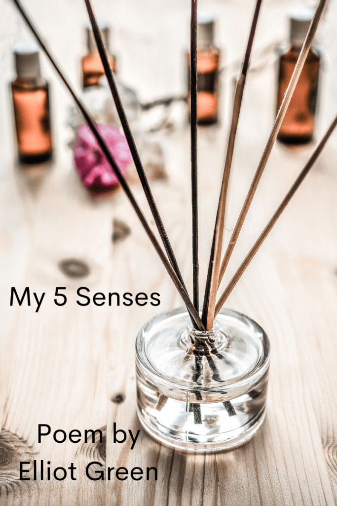 My 5 Senses (Poem) by Elliot Green at SpookyMrsGreen.com mindful parenting and modern pagan lifestyle blog.