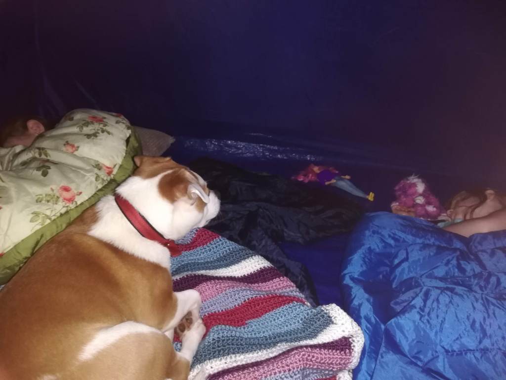 #MummyMonday Family camping night in the garden with Marley the rescue dog Staffy X. Image copyright Catherine Green of SpookyMrsGreen.com mindful parenting and modern pagan lifestyle blog.