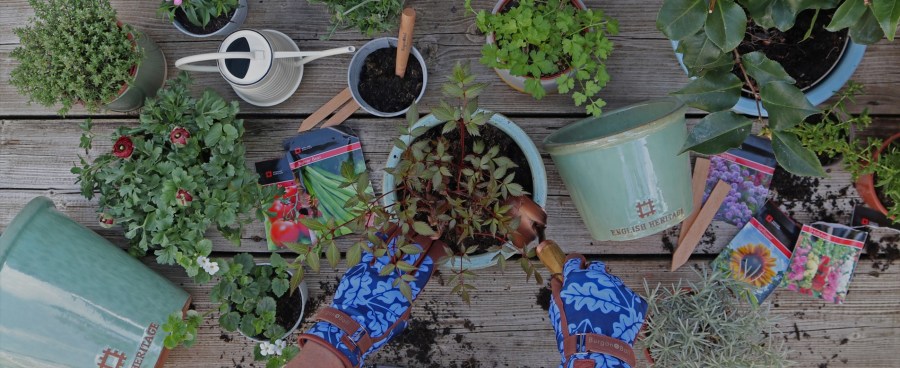 #FreeforallFriday Garden Shop at English Heritage affiliated with SpookyMrsGreen.com mindful parenting and modern pagan lifestyle blog.