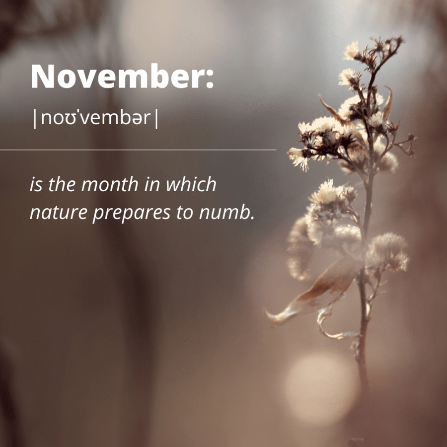 #WitchyWednesday November Meme with SpookyMrsGreen.com mindful parenting and modern pagan lifestyle blog.