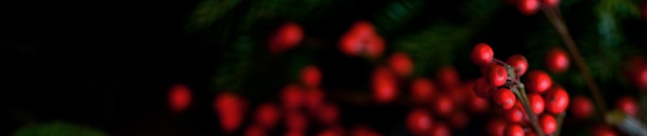 #FreeforallFriday Winter Sale at English Heritage Shop affiliated with SpookyMrsGreen.com mindful parenting and modern pagan lifestyle blog.