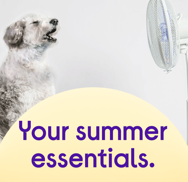 Currys Summer Essentials Deals affiliated with SpookyMrsGreen.com mindful parenting and modern pagan lifestyle blog.