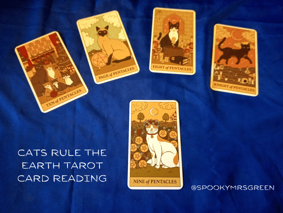 Cats Rule the Earth Tarot Card Reading by SpookyMrsGreen.com pagan lifestyle blog