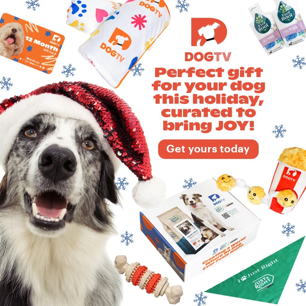 Dog TV Perfect Christmas Gift for Your Dog affiliated with SpookyMrsGreen.com mindful parenting and modern pagan lifestyle blog.