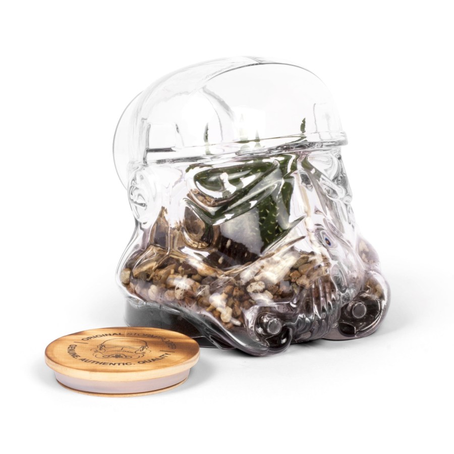 Storm Trooper Terrarium Novelty Collectible Gifts for Star Wars fans at SpookyMrsGreen.com mindful parenting and modern pagan lifestyle blog.