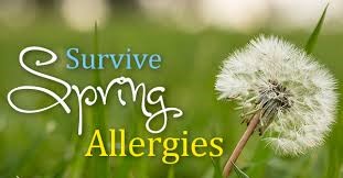 Survive Spring Allergies with Oxford Online Pharmacy affiliated with SpookyMrsGreen.com mindful parenting and modern pagan lifestyle blog.