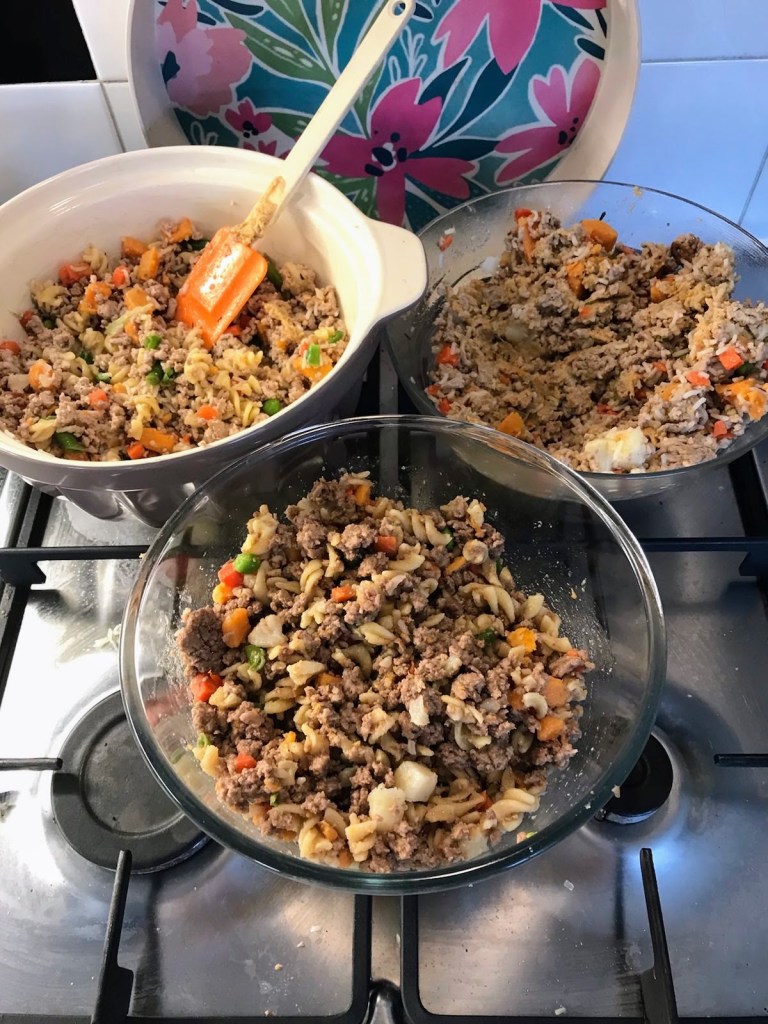 National Pet Day Homemade Meals for your Pet by Catherine Green of SpookyMrsGreen.com mindful parenting and modern pagan lifestyle blog.