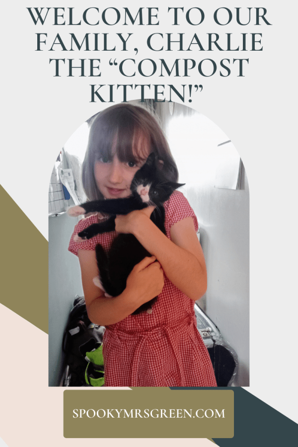 Image of a girl holding a black and white kitten in her arms. Text reads "Welcome to our Family, Charlie the “Compost Kitten!”" Article written by Catherine Green for SpookyMrsGreen.com mindful parenting and modern pagan lifestyle blog.