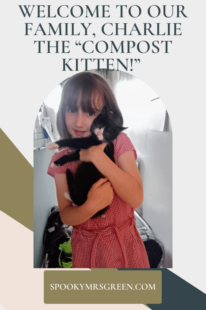 Image of a girl holding a black and white kitten in her arms. Text reads "Welcome to our Family, Charlie the “Compost Kitten!”" Article written by Catherine Green for SpookyMrsGreen.com mindful parenting and modern pagan lifestyle blog.