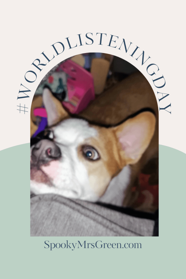 Image of a cute dog with his ears sticking up as he listens to his owner. #WorldListeningDay. Celebrate World Listening Day with SpookyMrsGreen.com mindful parenting and modern pagan lifestyle blog.