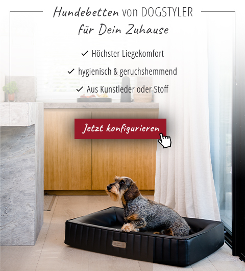 Dog Styler DE Dog beds for the Home affiliated with SpookyMrsGreen.com mindful parenting and modern pagan lifestyle blog.