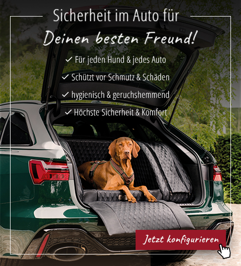 Dog Styler DE Dog travel accessories affiliated with SpookyMrsGreen.com mindful parenting and modern pagan lifestyle blog.