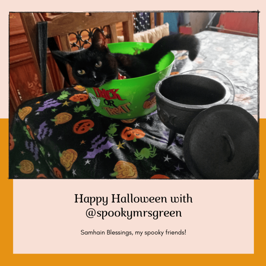 Image of a black cat sitting in a green Trick or Treat bowl on a tablecloth printed with colourful pumpkins, bats and spiders. There is a black cauldron on the table. Text reads, “Happy Halloween with @SpookyMrsGreen. Samhain blessings, my spooky friends!” SpookyMrsGreen.com mindful parenting and modern pagan lifestyle blog.