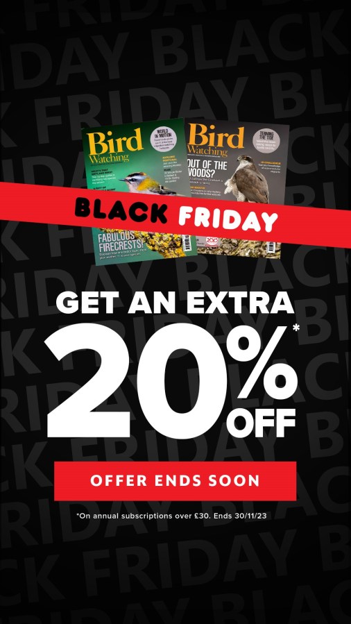 Black background with white text and red text box. Text reads, "Black Friday. Get an extra 20 per cent off offers end soon." Image of Bird Watching magazine from Great Magazines affiliated with SpookyMrsGreen.com mindful parenting and modern pagan lifestyle blog.