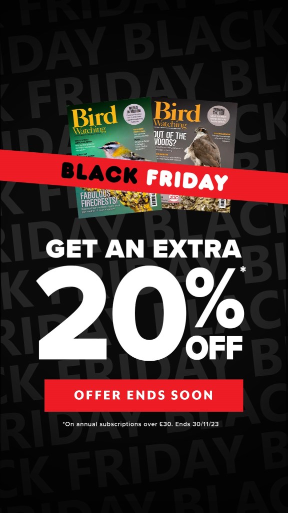 Black background with white text and red text box. Text reads, "Black Friday. Get an extra 20 per cent off offers end soon." Image of Bird Watching magazine from Great Magazines affiliated with SpookyMrsGreen.com mindful parenting and modern pagan lifestyle blog.