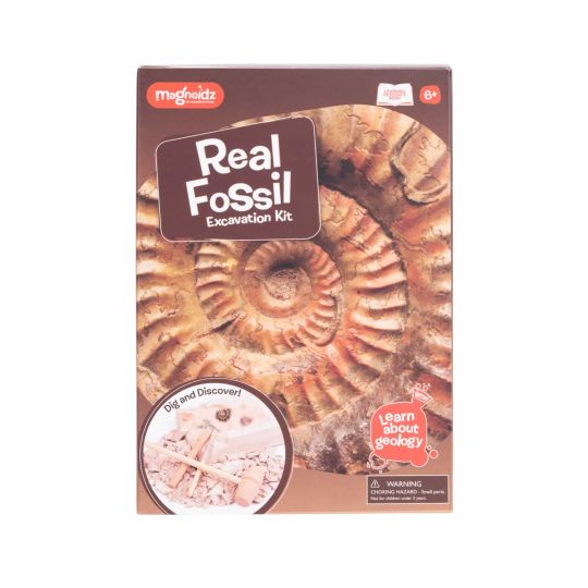 Image of Fossil Dig Kit from English Heritage Shop affiliated with SpookyMrsGreen.com mindful parenting and modern pagan lifestyle blog.