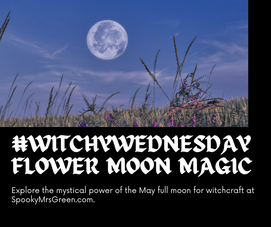 Image of a full moon above a meadow of beautiful wildflowers and tall grass. Text reads, “#WitchyWednesday Flower Moon Magic. Explore the mystical power of the May full moon for witchcraft at SpookyMrsGreen.com.” Mindful parenting and modern pagan lifestyle blog.