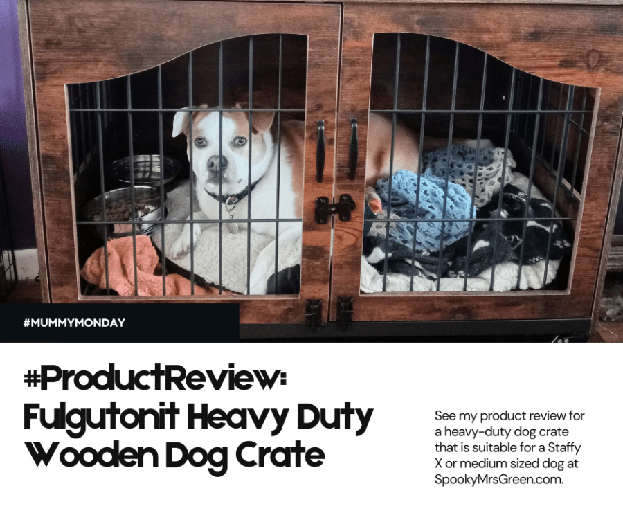 Image of Marley the Staffy X rescue dog lying in a wooden dog crate looking through the bars. There is a photo of two girls on top of the crate, a vase of flowers, some wooden craft drawers, an Amazon Alexa device and a pet bowel sitting on a purple cloth. Photo credit Catherine Green at SpookyMrsGreen.com mindful parenting and modern pagan lifestyle blog. Text reads, “#ProductReview: Fulgutonit Heavy Duty Wooden Dog Crate. See my product review for a heavy-duty dog crate that is suitable for a Staffy X or medium sized dog at SpookyMrsGreen.com.”
