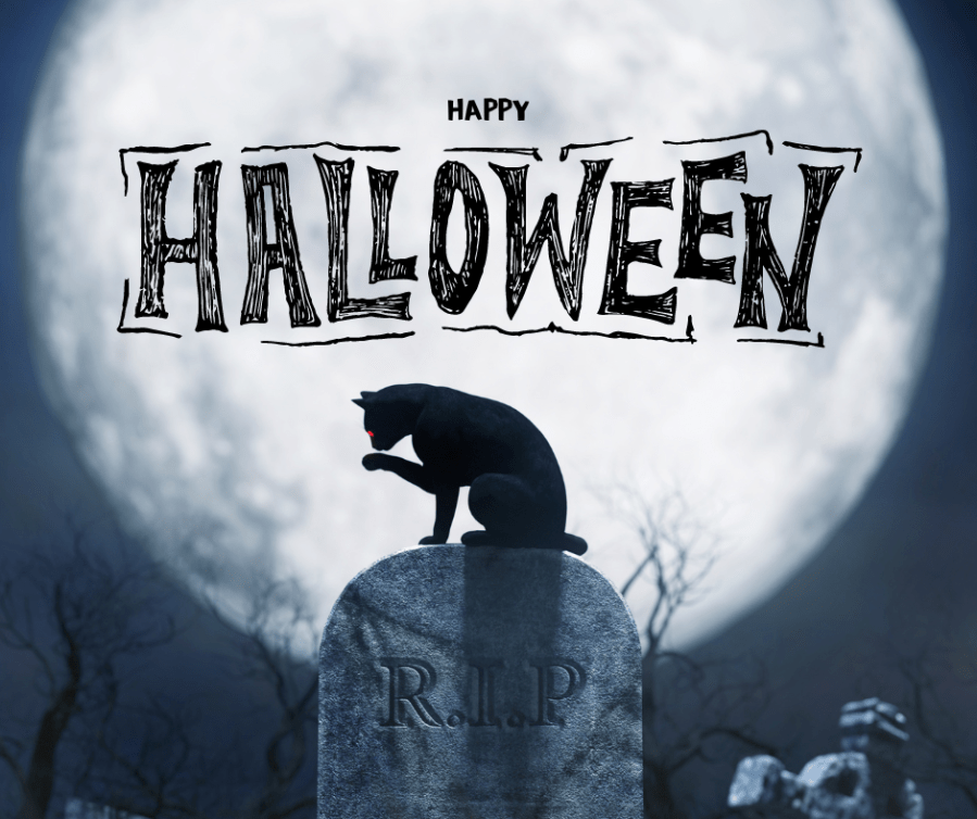 Happy Halloween spooky black cat sitting on a gravestone with the full moon behind.