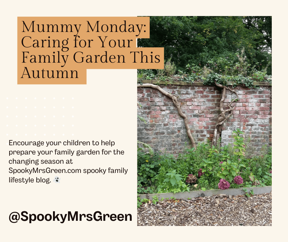 Colourful image of a brick wall surrounding an autumn garden with seasonal plants growing in the flowerbed and climbing tree branches on the wall. Text reads, “Mummy Monday: Caring for Your Family Garden This Autumn. Encourage your children to help prepare your family garden for the changing season at SpookyMrsGreen.com spooky family lifestyle blog.