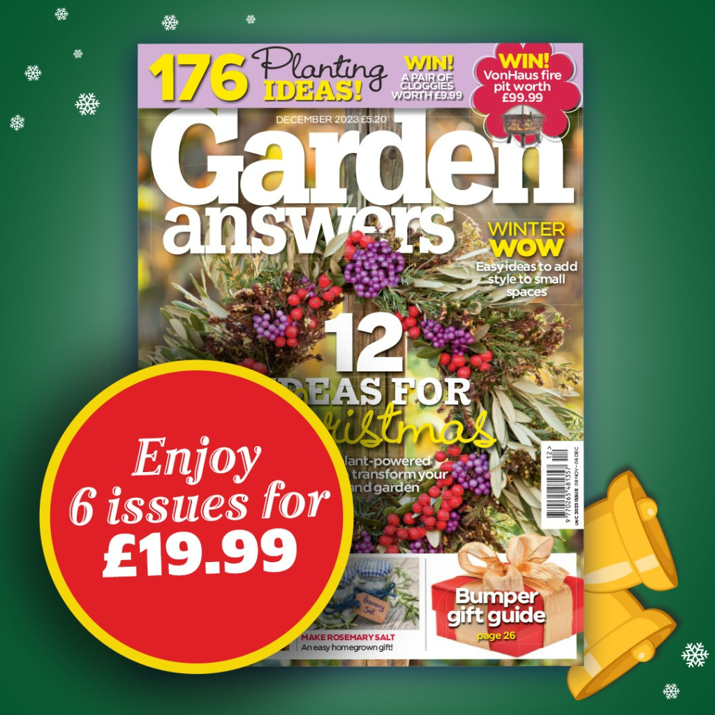 Text reads, “Enjoy six issues for nineteen pounds and ninety-nine pence.” Colourful festive image of Garden Answers magazine front cover from Great Magazines affiliated with SpookyMrsGreen.com spooky family lifestyle blog.